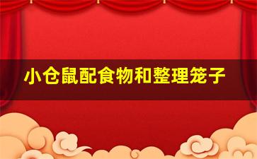 小仓鼠配食物和整理笼子