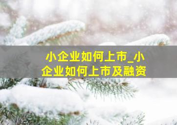 小企业如何上市_小企业如何上市及融资