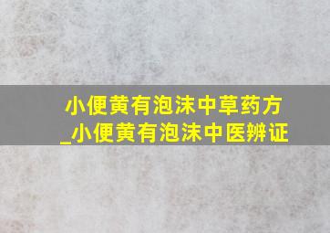 小便黄有泡沫中草药方_小便黄有泡沫中医辨证