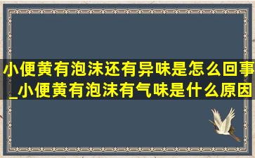 小便黄有泡沫还有异味是怎么回事_小便黄有泡沫有气味是什么原因