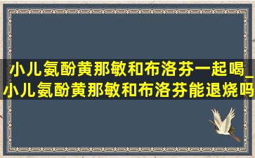 小儿氨酚黄那敏和布洛芬一起喝_小儿氨酚黄那敏和布洛芬能退烧吗