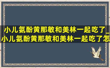 小儿氨酚黄那敏和美林一起吃了_小儿氨酚黄那敏和美林一起吃了怎么办