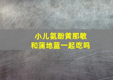 小儿氨酚黄那敏和蒲地蓝一起吃吗