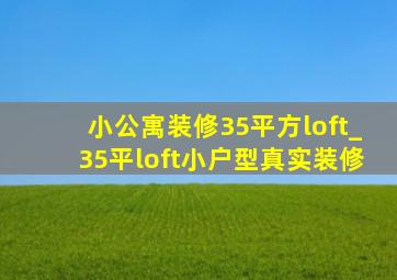 小公寓装修35平方loft_35平loft小户型真实装修