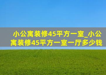 小公寓装修45平方一室_小公寓装修45平方一室一厅多少钱