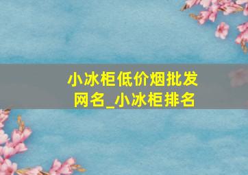 小冰柜(低价烟批发网)名_小冰柜排名