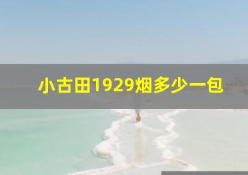 小古田1929烟多少一包