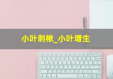 小叶刺楸_小叶增生