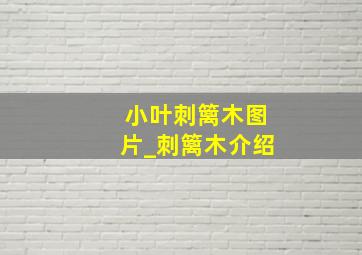 小叶刺篱木图片_刺篱木介绍