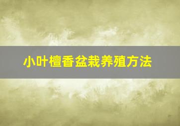 小叶檀香盆栽养殖方法