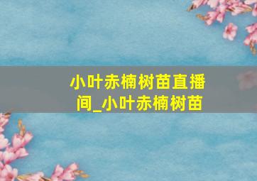 小叶赤楠树苗直播间_小叶赤楠树苗