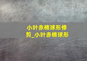 小叶赤楠球形修剪_小叶赤楠球形