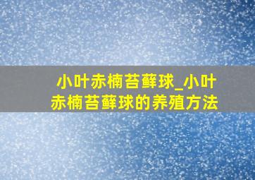 小叶赤楠苔藓球_小叶赤楠苔藓球的养殖方法