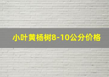 小叶黄杨树8-10公分价格