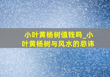 小叶黄杨树值钱吗_小叶黄杨树与风水的忌讳