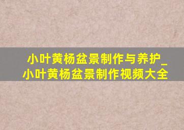 小叶黄杨盆景制作与养护_小叶黄杨盆景制作视频大全