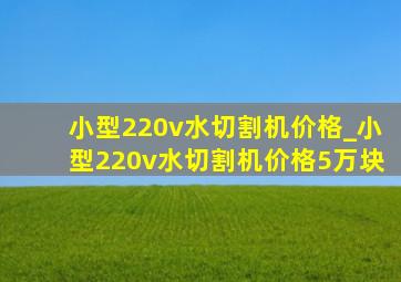 小型220v水切割机价格_小型220v水切割机价格5万块