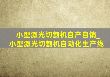 小型激光切割机自产自销_小型激光切割机自动化生产线