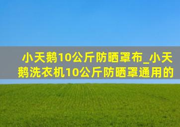 小天鹅10公斤防晒罩布_小天鹅洗衣机10公斤防晒罩通用的