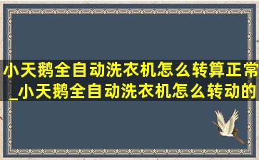 小天鹅全自动洗衣机怎么转算正常_小天鹅全自动洗衣机怎么转动的