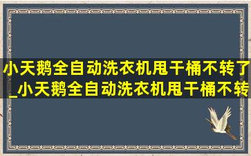 小天鹅全自动洗衣机甩干桶不转了_小天鹅全自动洗衣机甩干桶不转