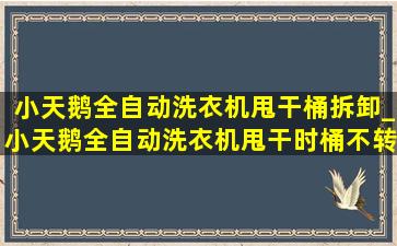 小天鹅全自动洗衣机甩干桶拆卸_小天鹅全自动洗衣机甩干时桶不转