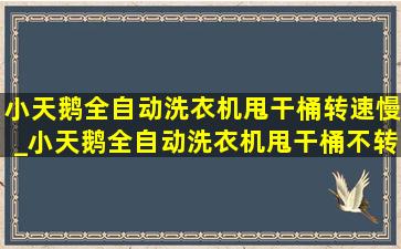 小天鹅全自动洗衣机甩干桶转速慢_小天鹅全自动洗衣机甩干桶不转