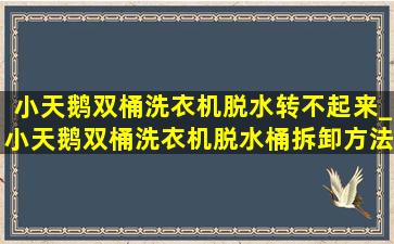 小天鹅双桶洗衣机脱水转不起来_小天鹅双桶洗衣机脱水桶拆卸方法