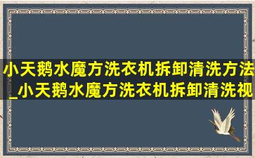 小天鹅水魔方洗衣机拆卸清洗方法_小天鹅水魔方洗衣机拆卸清洗视频