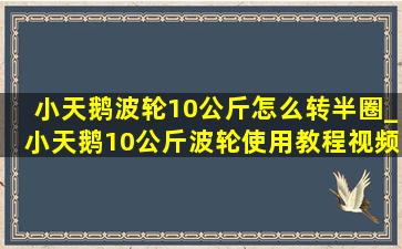 小天鹅波轮10公斤怎么转半圈_小天鹅10公斤波轮使用教程视频