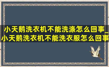 小天鹅洗衣机不能洗涤怎么回事_小天鹅洗衣机不能洗衣服怎么回事