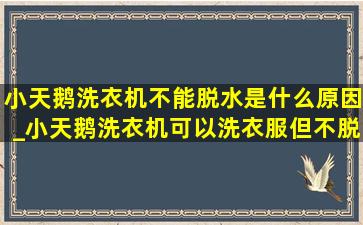 小天鹅洗衣机不能脱水是什么原因_小天鹅洗衣机可以洗衣服但不脱水