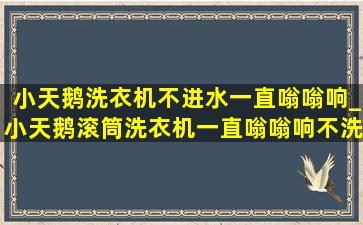 小天鹅洗衣机不进水一直嗡嗡响_小天鹅滚筒洗衣机一直嗡嗡响不洗