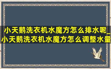 小天鹅洗衣机水魔方怎么排水呢_小天鹅洗衣机水魔方怎么调整水量