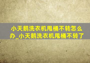 小天鹅洗衣机甩桶不转怎么办_小天鹅洗衣机甩桶不转了