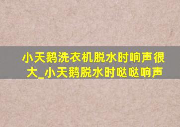 小天鹅洗衣机脱水时响声很大_小天鹅脱水时哒哒响声