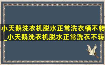 小天鹅洗衣机脱水正常洗衣桶不转_小天鹅洗衣机脱水正常洗衣不转