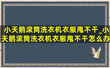 小天鹅滚筒洗衣机衣服甩不干_小天鹅滚筒洗衣机衣服甩不干怎么办