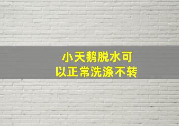 小天鹅脱水可以正常洗涤不转