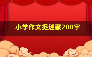 小学作文捉迷藏200字