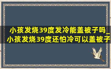 小孩发烧39度发冷能盖被子吗_小孩发烧39度还怕冷可以盖被子吗