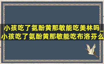 小孩吃了氨酚黄那敏能吃美林吗_小孩吃了氨酚黄那敏能吃布洛芬么