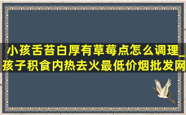 小孩舌苔白厚有草莓点怎么调理_孩子积食内热去火最(低价烟批发网)招