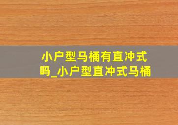 小户型马桶有直冲式吗_小户型直冲式马桶