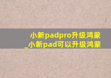 小新padpro升级鸿蒙_小新pad可以升级鸿蒙