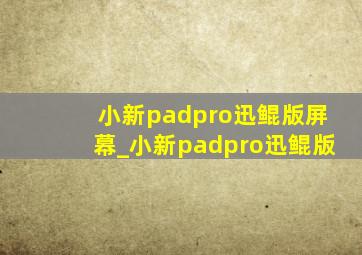 小新padpro迅鲲版屏幕_小新padpro迅鲲版