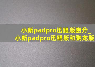 小新padpro迅鲲版跑分_小新padpro迅鲲版和骁龙版