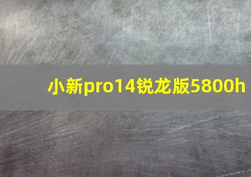 小新pro14锐龙版5800h