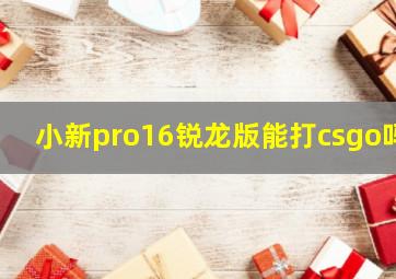 小新pro16锐龙版能打csgo吗