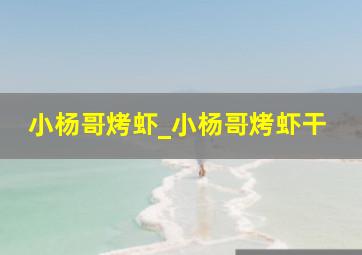 小杨哥烤虾_小杨哥烤虾干